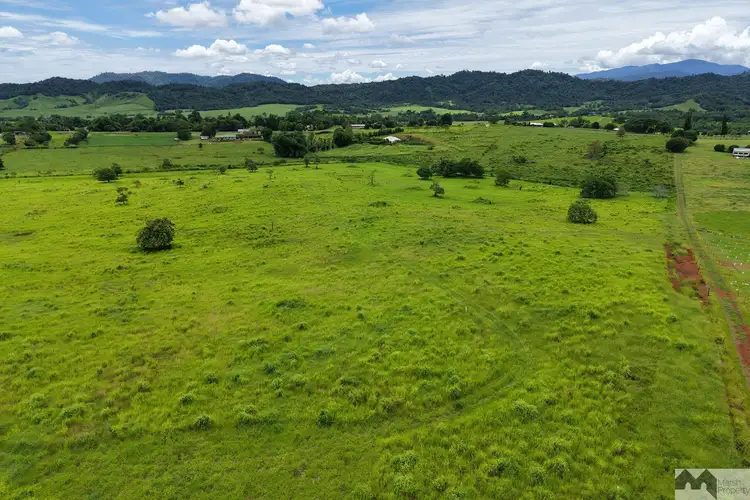Third view of Homely rural property listing, 51 Booth Road, Utchee Creek QLD 4871