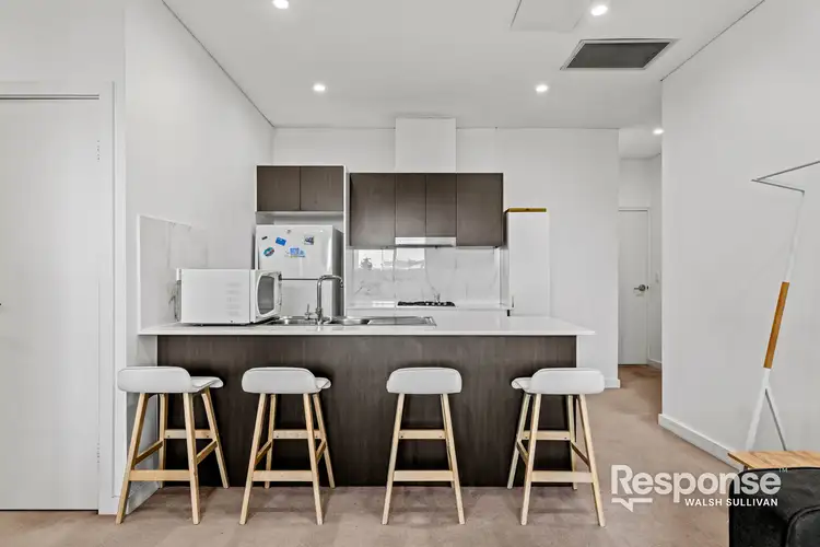 66/18-22a Hope Street, Rosehill NSW 2142