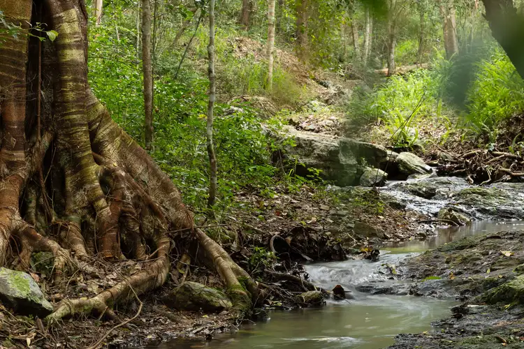 Fifth view of Homely rural property listing, 830 Upper Brookfield Road, Upper Brookfield QLD 4069