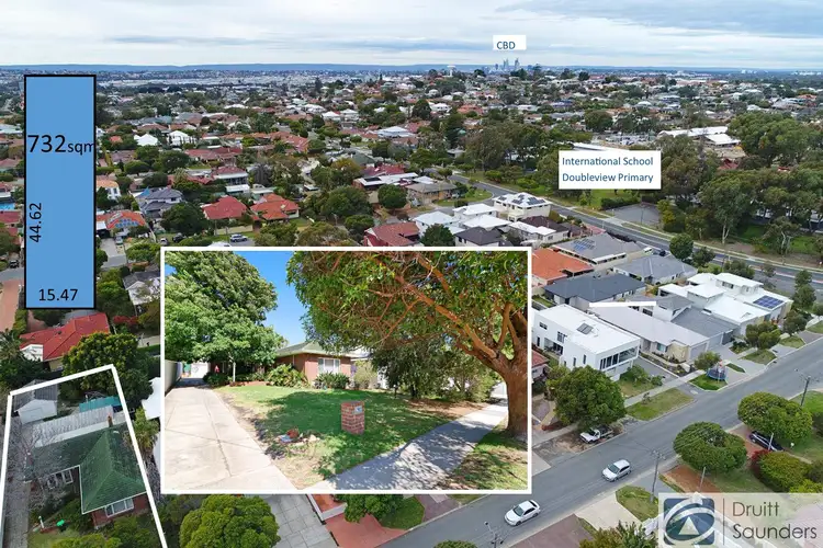 Main view of Homely house listing, 242 Grand Promenade, Doubleview WA 6018