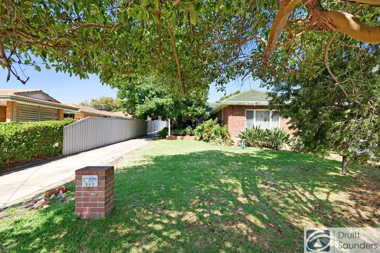 Second view of Homely house listing, 242 Grand Promenade, Doubleview WA 6018