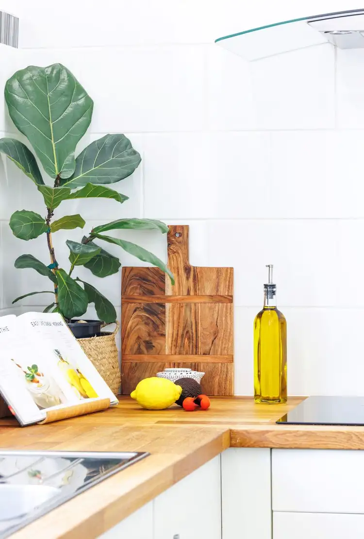 Fifth view of Homely house listing, 66 Murray Road, East Corrimal NSW 2518