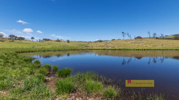 479 Wallawaugh Road, Hargraves NSW 2850