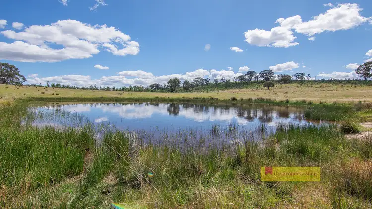 Fifth view of Homely rural property listing, 479 Wallawaugh Road, Hargraves NSW 2850