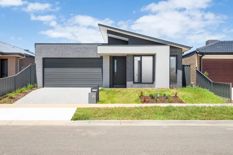5 Fitzwalter Street