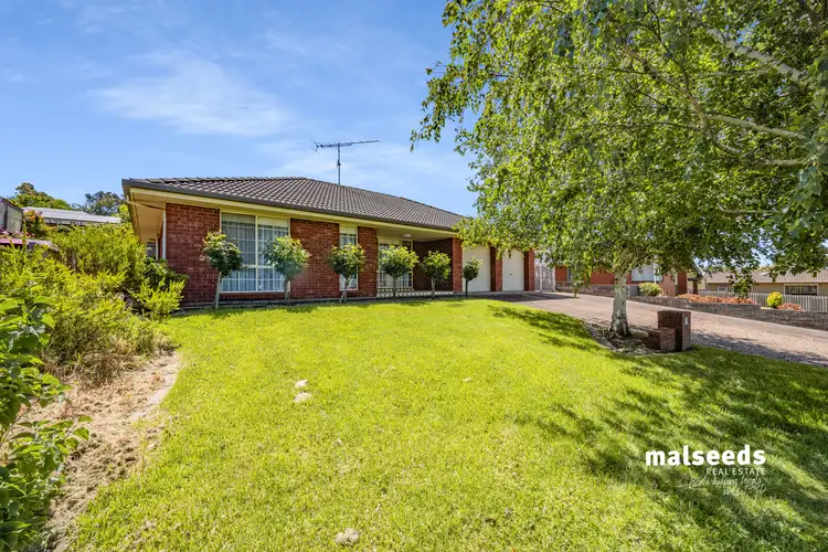 34 Brolga Street, Mount Gambier SA 5290