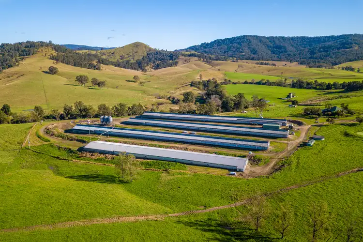 Fifth view of Homely rural property listing, 395 Paterson River Road, Gresford NSW 2311