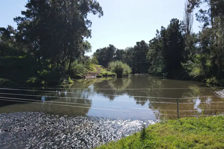 Sixth view of Homely rural property listing, 395 Paterson River Road, Gresford NSW 2311