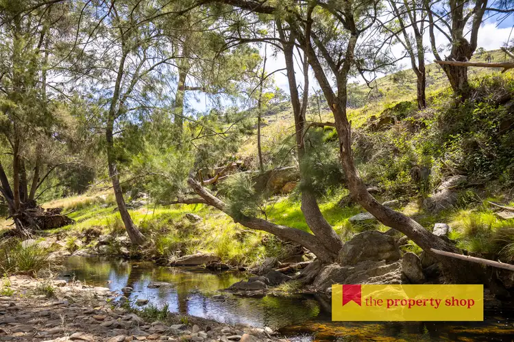 Third view of Homely rural property listing, 900 Yarrabin Road, Mudgee NSW 2850