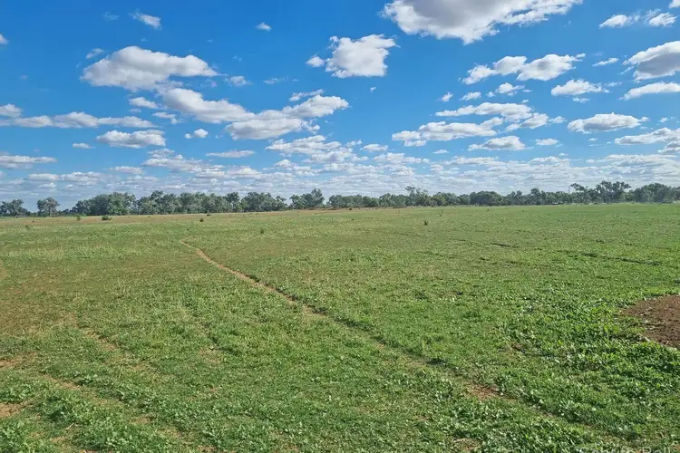 Main view of Homely rural property listing, 151 Burban Street, Brewarrina NSW 2839