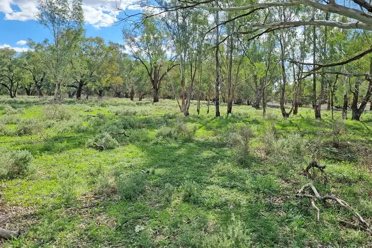 Fifth view of Homely rural property listing, 151 Burban Street, Brewarrina NSW 2839