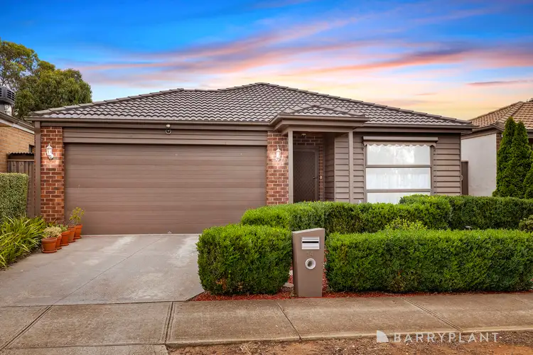 14 Burrawang Close