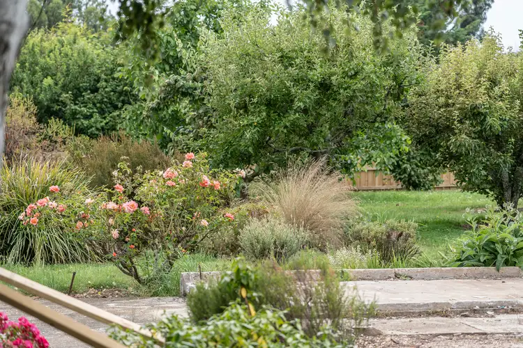 Sixth view of Homely land listing, 141 Dexter Street, Westbury TAS 7303