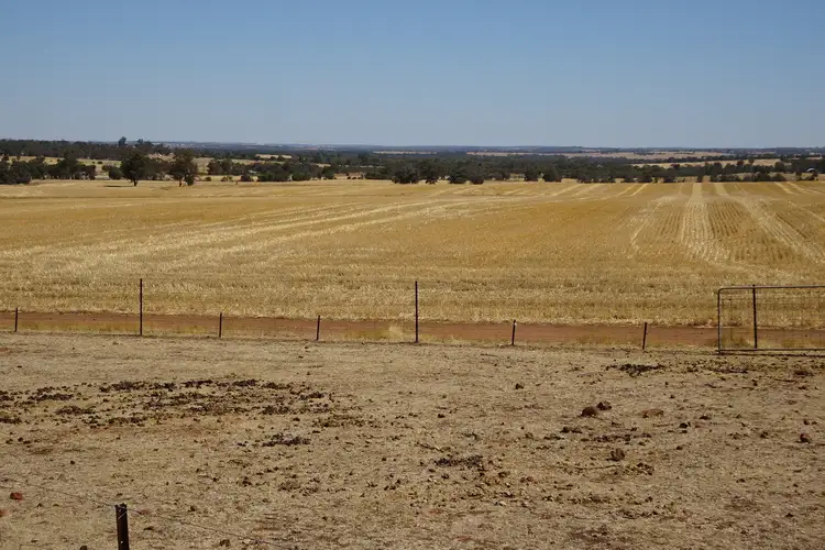 Main view of Homely rural property listing, 210 Yenellin Road, East Pingelly WA 6308