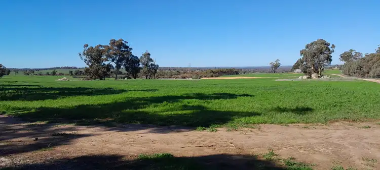 210 Yenellin Road, East Pingelly WA 6308
