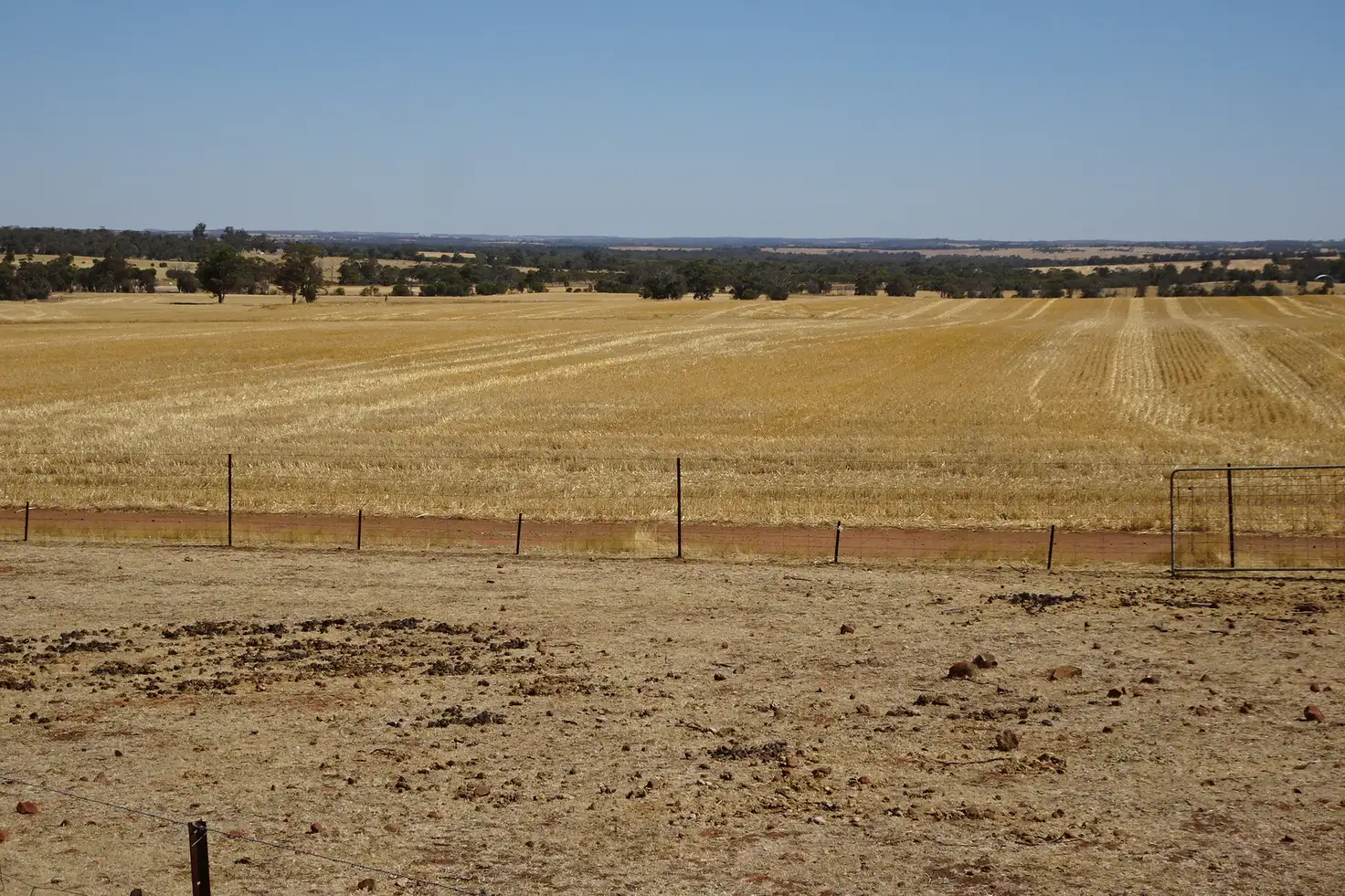 Main view of Homely rural property listing, 210 Yenellin Road, East Pingelly WA 6308