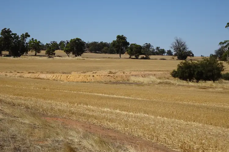 Fourth view of Homely rural property listing, 210 Yenellin Road, East Pingelly WA 6308