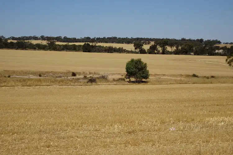 Fifth view of Homely rural property listing, 210 Yenellin Road, East Pingelly WA 6308