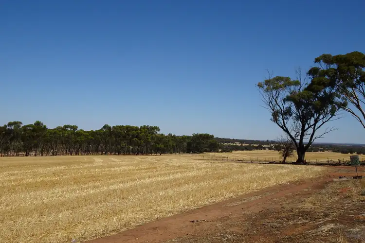 Sixth view of Homely rural property listing, 210 Yenellin Road, East Pingelly WA 6308