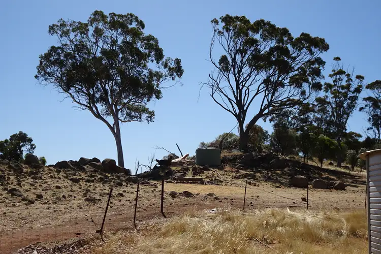 Seventh view of Homely rural property listing, 210 Yenellin Road, East Pingelly WA 6308