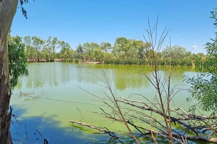 Main view of Homely rural property listing, Kamilaroi Hwy Highway, Brewarrina NSW 2839