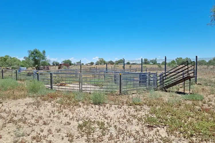 Third view of Homely rural property listing, Kamilaroi Hwy Highway, Brewarrina NSW 2839