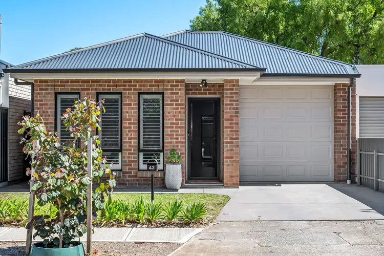 43 Denham Avenue, Morphettville SA 5043