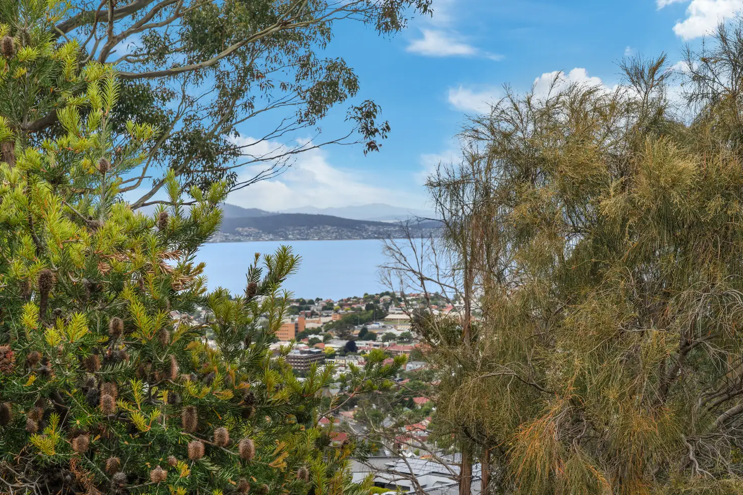 Main view of Homely unit listing, 6/18 Chadwick Court, West Hobart TAS 7000