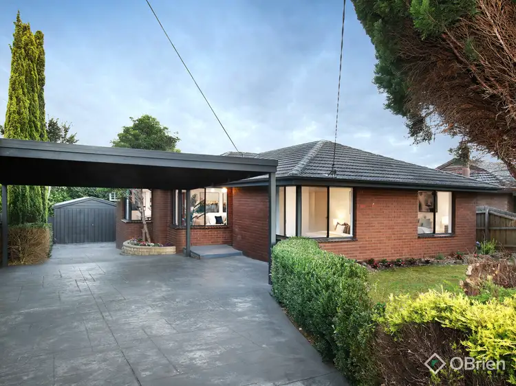 8 Honeysuckle Avenue