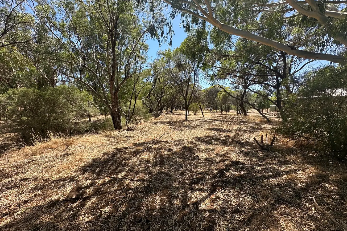 Main view of Homely land listing, 56 Tenth Road, York WA 6302