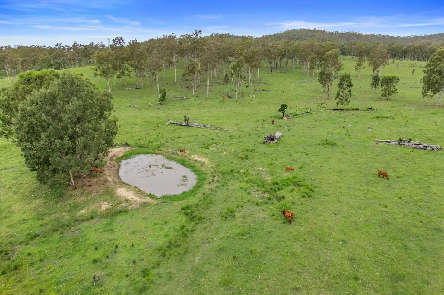 Main view of Homely rural property listing, Spencer Road, Kilkivan QLD 4600