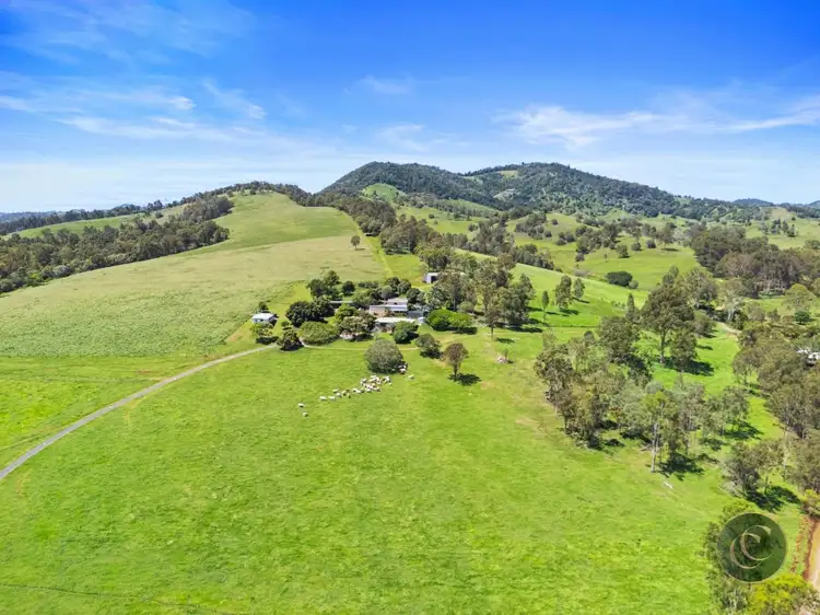 547 Rocks Road, Pie Creek QLD 4570
