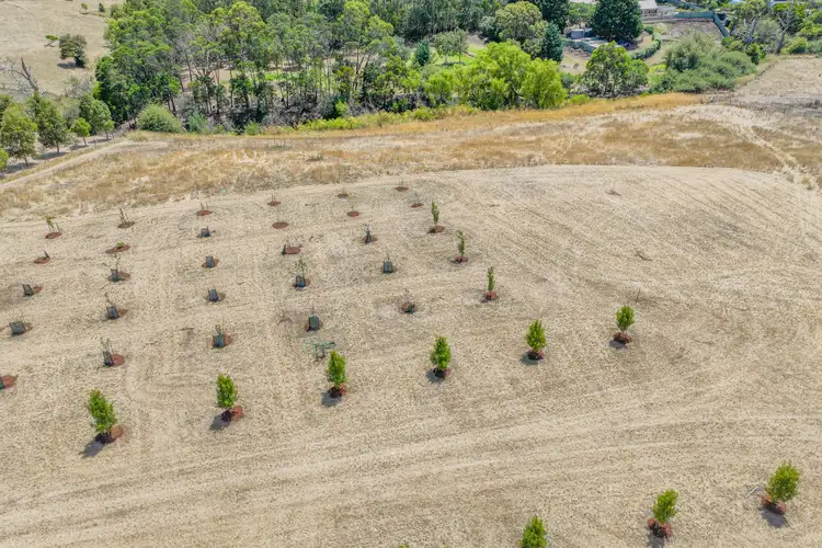 Third view of Homely rural property listing, 16 Brucknell Lane, Cudgee VIC 3265