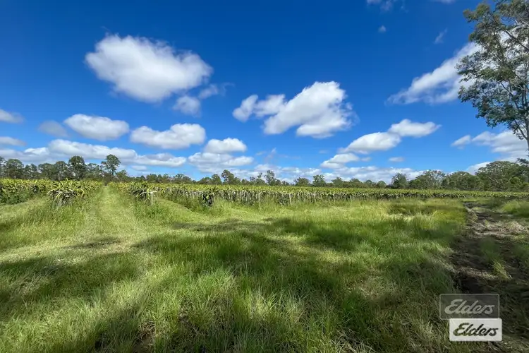 288 Blowers Road, Munna Creek QLD 4570