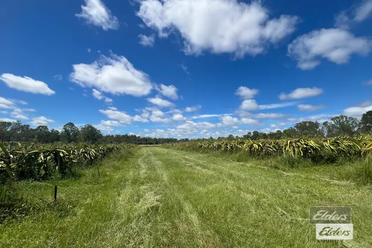 Third view of Homely land listing, 288 Blowers Road, Munna Creek QLD 4570