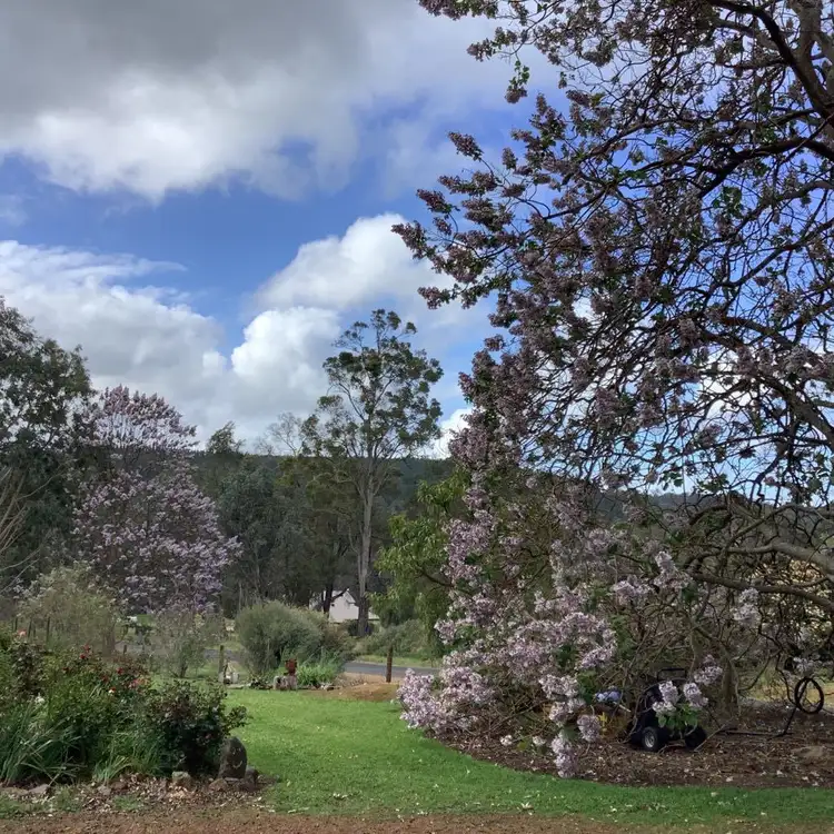 Main view of Homely rural property listing, 22 Japonica View, Wellington Mill WA 6236