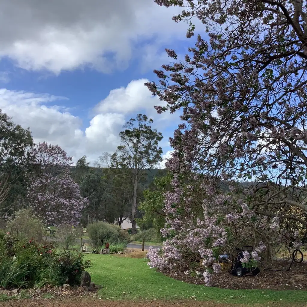 Main view of Homely rural property listing, 22 Japonica View, Wellington Mill WA 6236