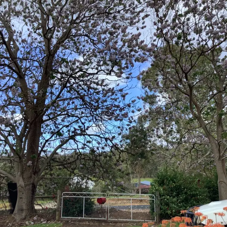 Fifth view of Homely rural property listing, 22 Japonica View, Wellington Mill WA 6236