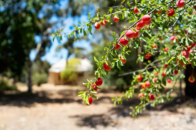 Fourth view of Homely land listing, 149 Leversha Road, Harcourt VIC 3453