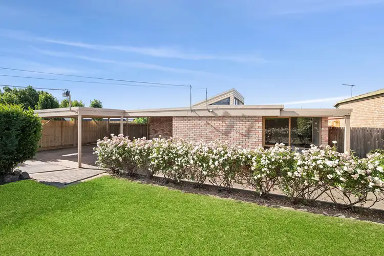 29 Colac Grove, Belmont VIC 3216