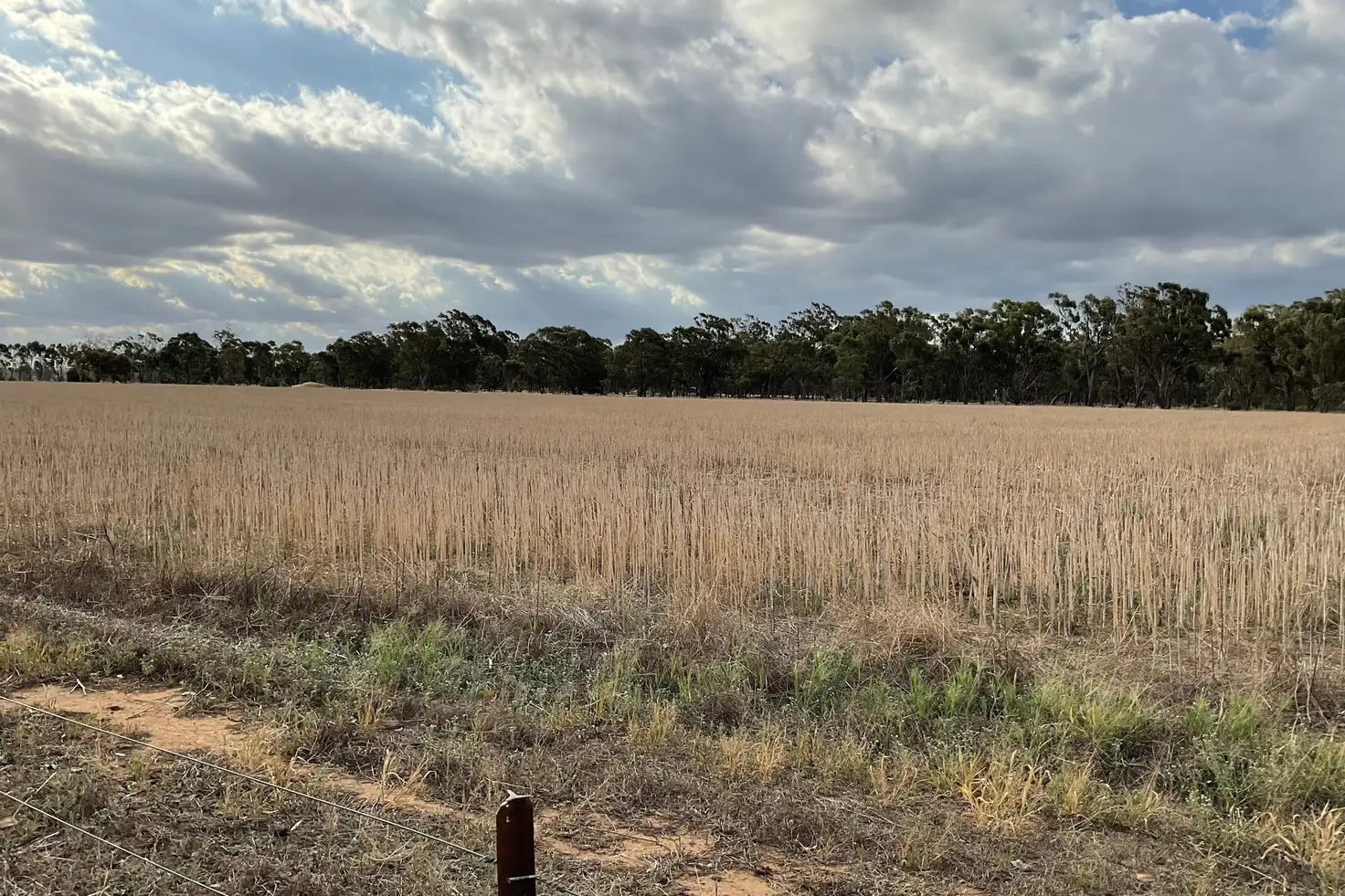 Main view of Homely rural property listing, 77 Katamatite Road, Katamatite VIC 3649