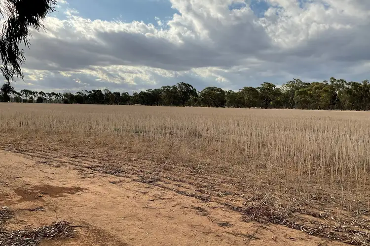 Third view of Homely rural property listing, 77 Katamatite Road, Katamatite VIC 3649