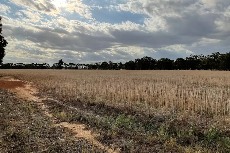 Seventh view of Homely rural property listing, 77 Katamatite Road, Katamatite VIC 3649