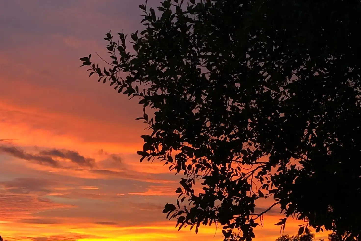 Main view of Homely house listing, 105 Gulnare Road, Bees Creek NT 822