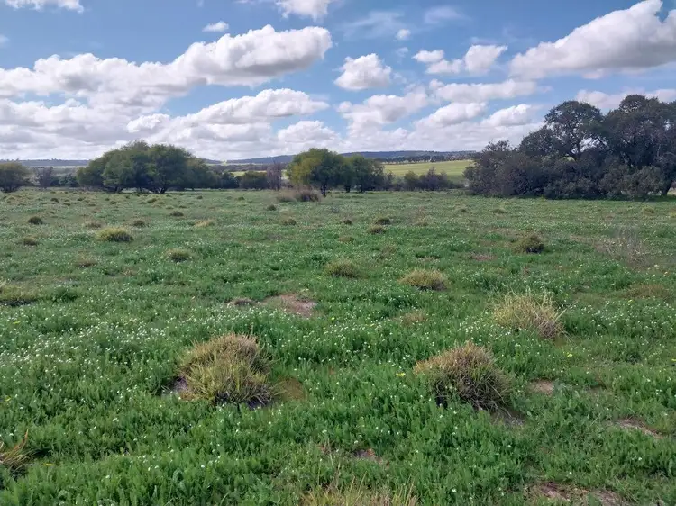 Second view of Homely rural property listing, Lot 3816 Minyulo Road, Dandaragan WA 6507