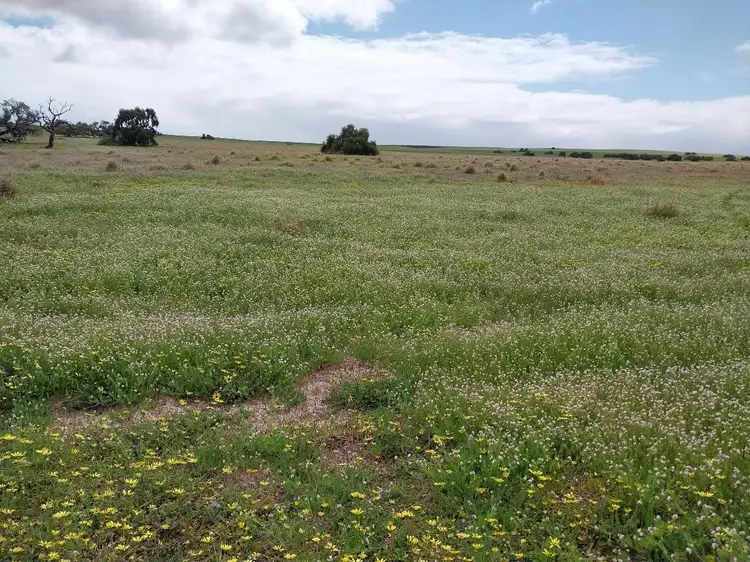 Third view of Homely rural property listing, Lot 3816 Minyulo Road, Dandaragan WA 6507