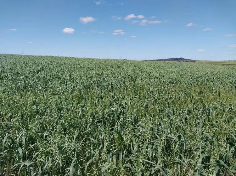 Fourth view of Homely rural property listing, Lot 3816 Minyulo Road, Dandaragan WA 6507