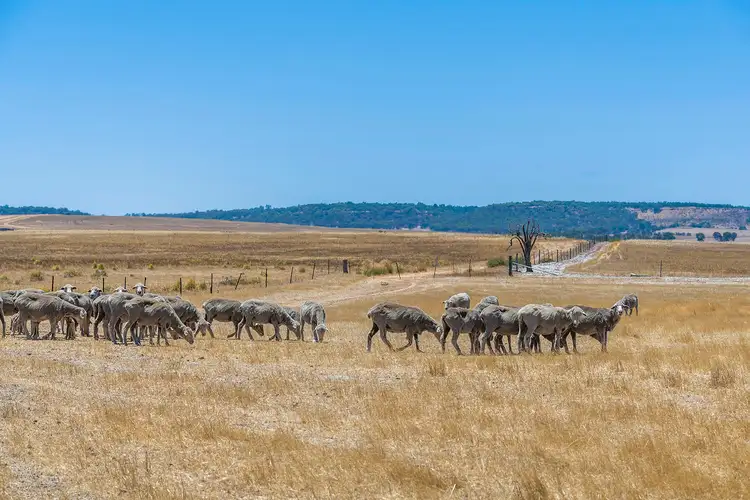 Seventh view of Homely rural property listing, Lot 3816 Minyulo Road, Dandaragan WA 6507