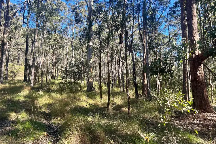 Main view of Homely land listing, LOT 748 Tenterfield Road, North Arm Cove NSW 2324