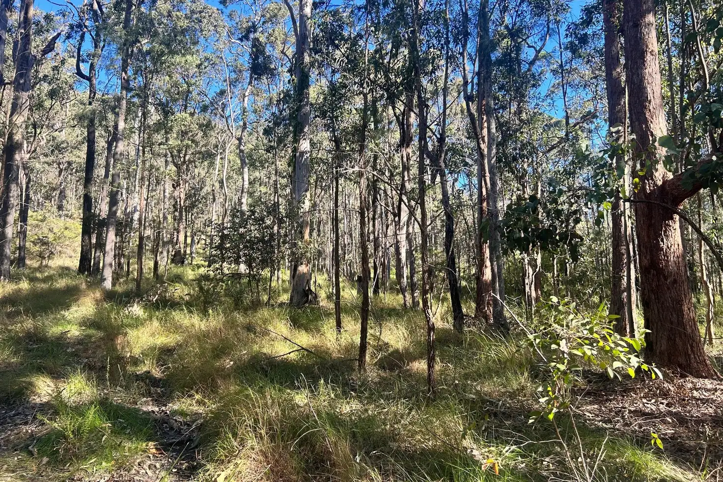 Main view of Homely land listing, LOT 748 Tenterfield Road, North Arm Cove NSW 2324